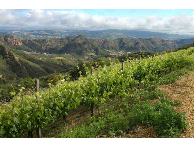 Malibu Family Wines: Six Bottles of Wine + 2 Wine Tasting Flights