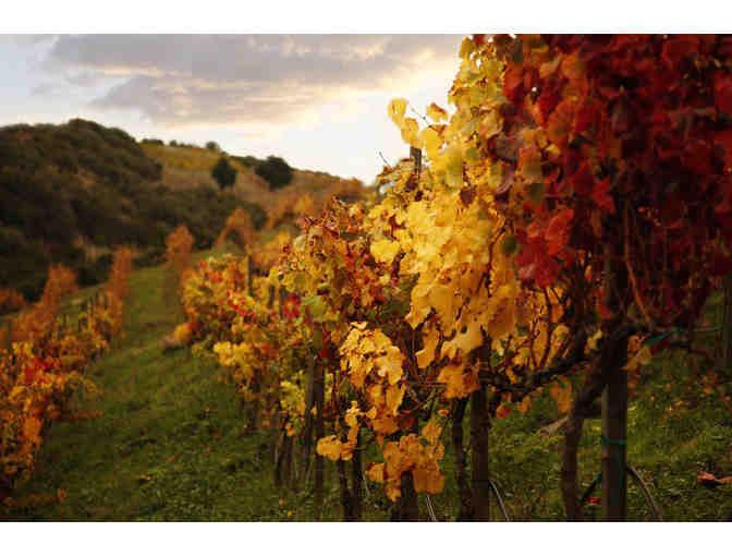 Malibu Family Wines: $50 Online Gift Card