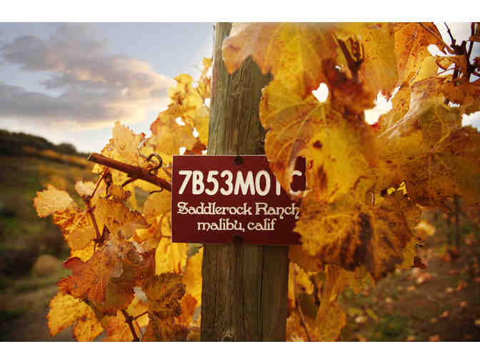 Malibu Family Wines: 4 Wine Tasting Flights at Malibu Tasting Room