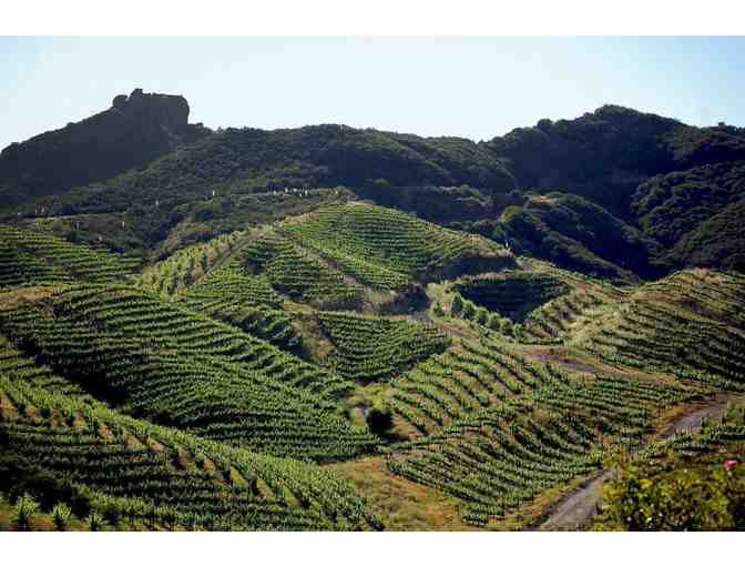 Malibu Family Wines: Wine Club Membership