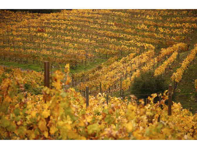 Malibu Family Wines: Wine Club Membership