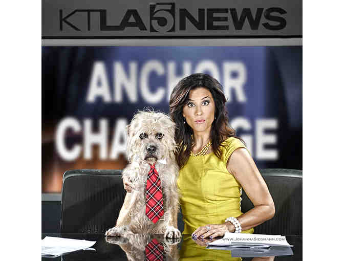 Professional Pet Portrait: Award-Winning Photographer Johanna Siegmann