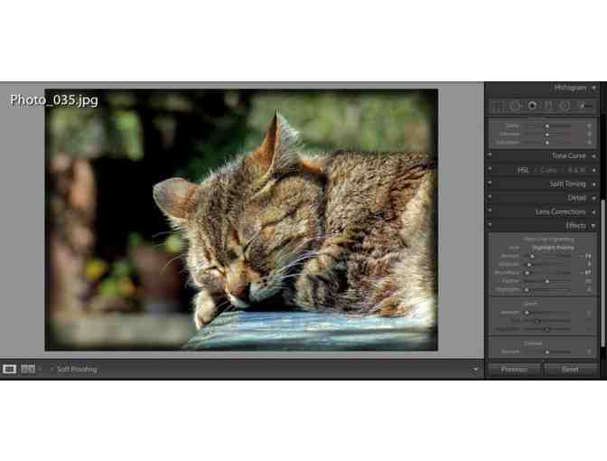 Video School Online: Ultimate Photography Bundle