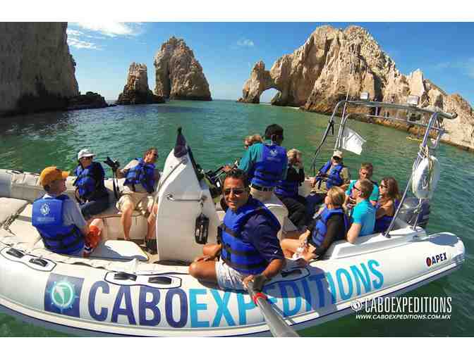Cabo Expeditions: Whale Watching for Four People