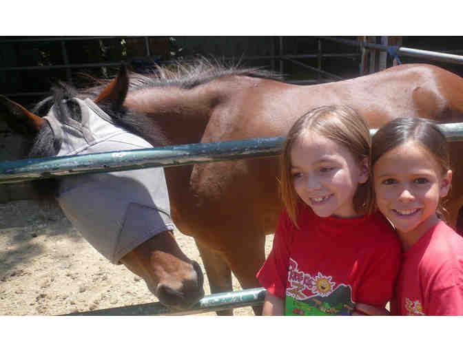 Enterprise Farms Riding School: One Week of Horse Camp