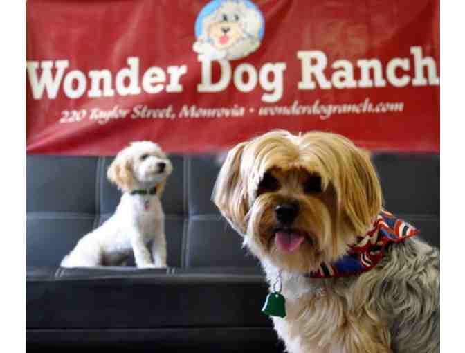 Wonder Dog Ranch: Dog Day Care & Boarding