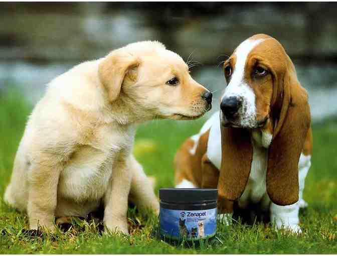 Zenapet Immune Support for Dogs
