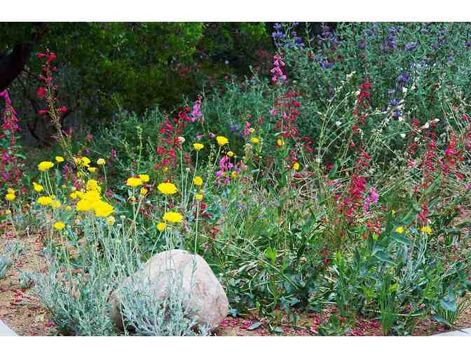 Theodore Payne Foundation for Wild Flowers & Native Plants: Horticulture & Design Classes