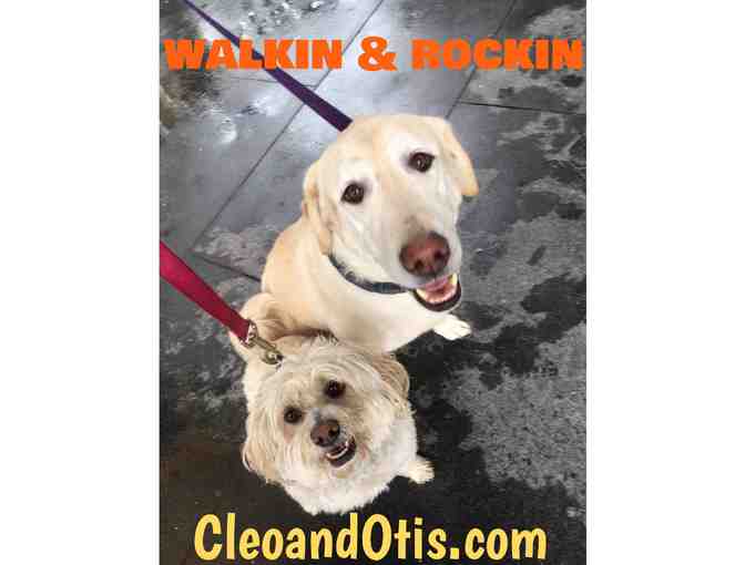 Cleo & Otis LLC: $100 Gift Card for Pet Services
