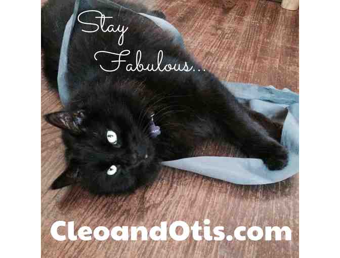 Cleo & Otis LLC: $100 Gift Card for Pet Services