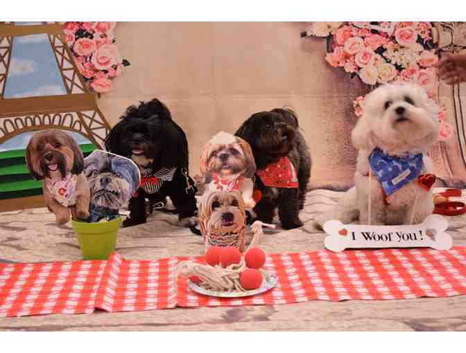Centinela Feed & Pet Supplies: Doggie Gift Basket
