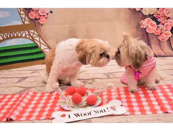 Centinela Feed & Pet Supplies: Doggie Gift Basket - Photo 1