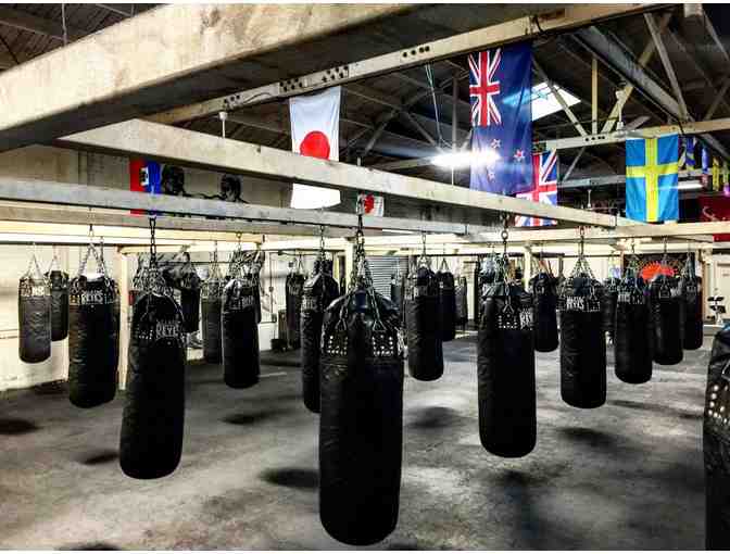 City of Angels Boxing: 1-Month Unlimited Membership