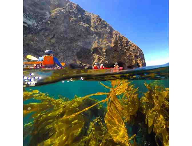 Paddle Sports Center, Santa Barbara Harbor:  1-Hour Kayak or SUP Rental