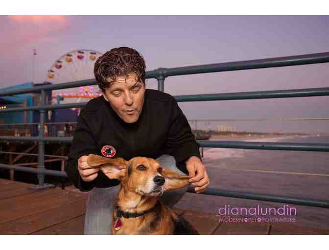 Modern Pet Portraiture by Diana Lundin: Custom Pet Photo Shoot