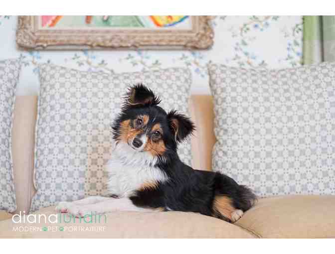 Modern Pet Portraiture by Diana Lundin: Custom Pet Photo Shoot