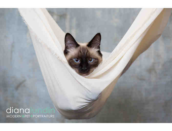 Modern Pet Portraiture by Diana Lundin: Custom Pet Photo Shoot