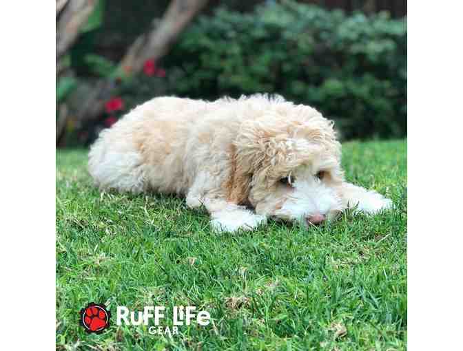 Ruff Life Gear: $25 Gift Card