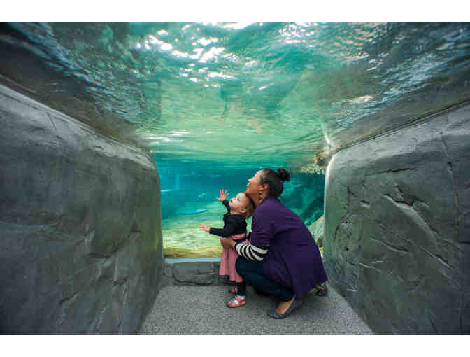 Aquarium of the Pacific: 2 General Admission Tickets