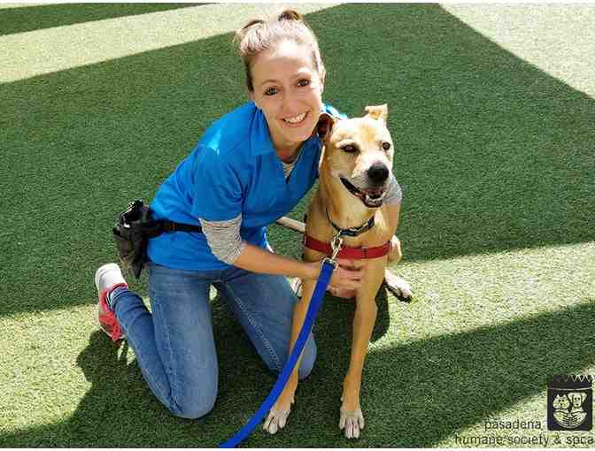 Pasadena Humane Society & SPCA Gift Basket