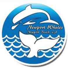 Newport Landing Whale Watching