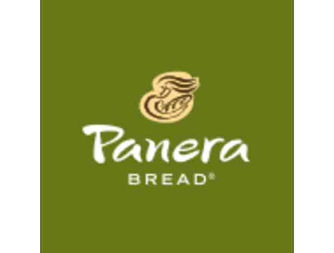 Panera Bread for a year