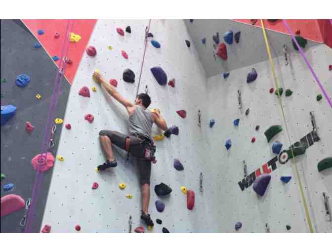 Bliss Bouldering & Climbing Complex-Family 4 pack, includes equipment