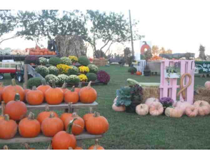 Walters Pumpkin Patch, 4 Admission tickets