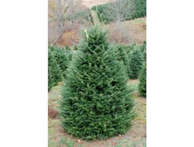 Prairie Pines Christmas Tree $50 voucher towards Christmas Tree