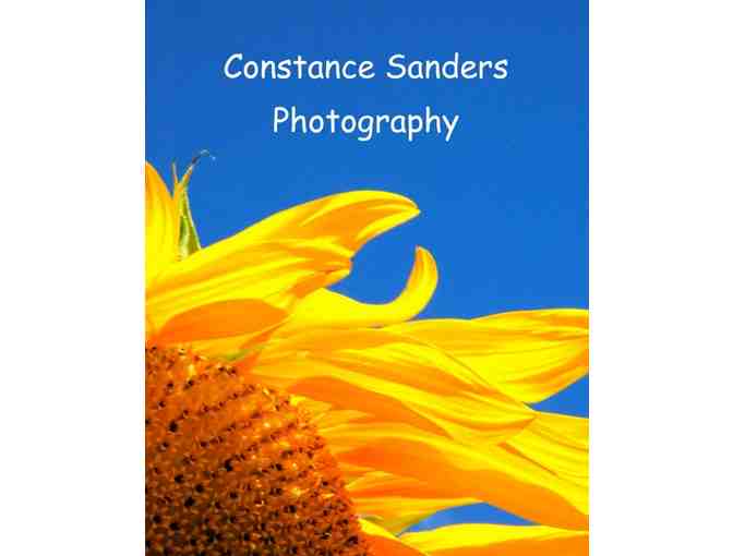 Gift certificate for a dog portrait session