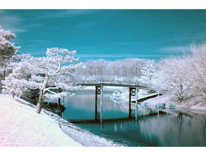 One (1) Year Membership to Chicago Botanic Garden