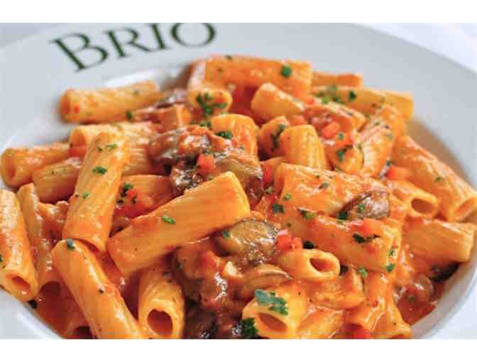 $100 Brio Gift Card