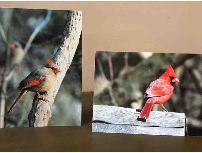 25 Blank Note Cards with Envelopes