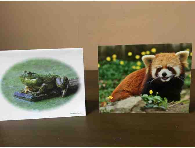 25 Blank Note Cards with Envelopes