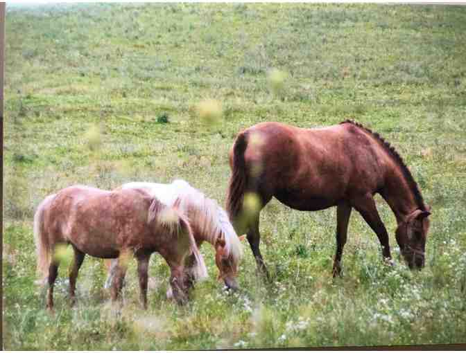 25 Blank Note Cards with Envelopes