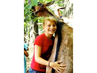 Eden Village Camp - A $300 Tuition Scholarship for Summer 2012!!