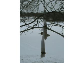 Winter Weekend Adventure!