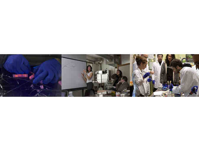 Tour Bio-Art Lab Genspace with Nurit Bar-Shai: Extract Strawberry DNA and Drink a Daquiri