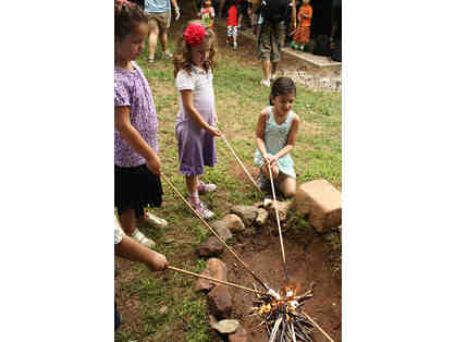 10% off of New Country Day Camp