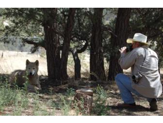 Wild Spirit Wolf Sanctuary Photo Tour