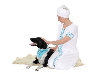 1 Animal Healing Session with Dr. Sat Siri Khalsa