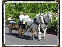 Horsedrawn Wine Tasting Tour for 10 in Lodi from All Seasons Carriage Company