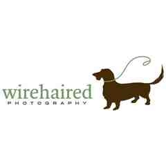 Mayta Stow - Wirehaired Photography