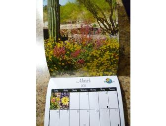 Jana's Mystic Light Photography Desert Southwest Calendar and Greeting Cards (1 of 2)