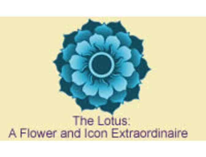 Lotus Massage and Wellness Center- 60 Minute Massage