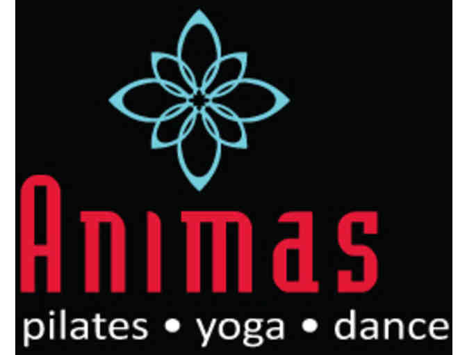Animas Center for Dance, Pilates, & Yoga: Certificate for 1 Private Pilates and 4 Group