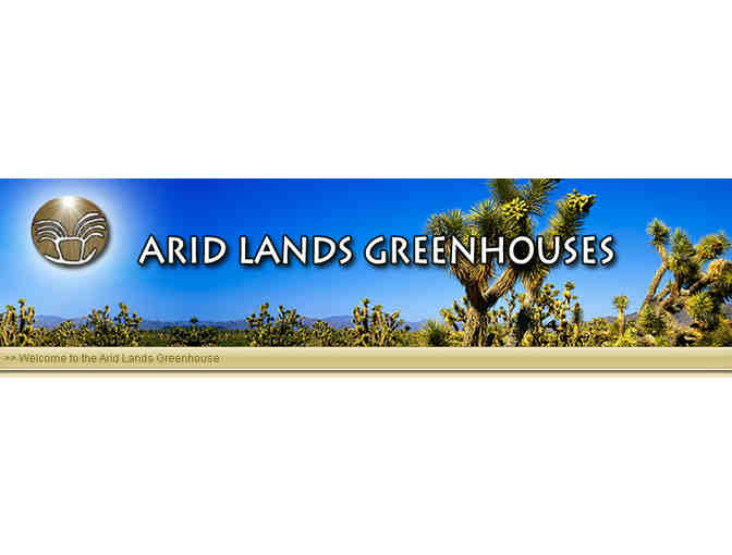 Arid Lands Greenhouses: Certificate for Pachypodium geayi