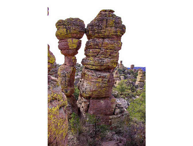 Guided hike in the Chiricahua National Monument Heart of Rocks Trail with Eb Eberlein (#7)