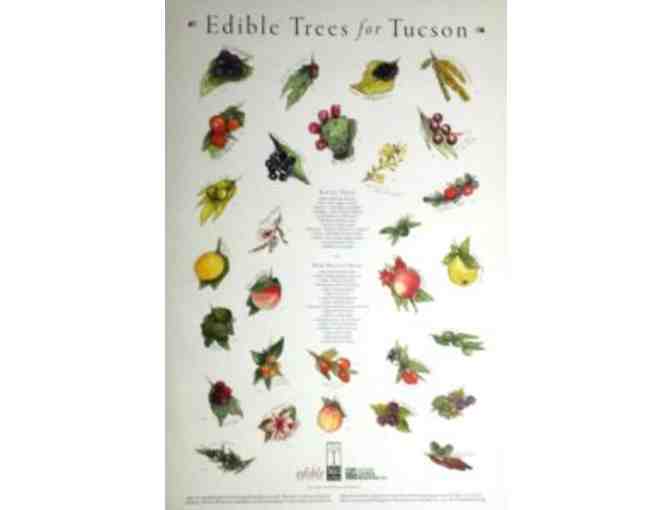 Trees for Tucson Certificate: One Free Tree, 'Trees for Tucson' Poster and other items
