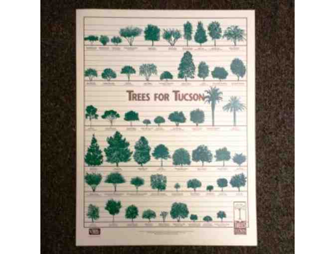 Trees for Tucson Certificate: One Free Tree, 'Trees for Tucson' Poster and other items